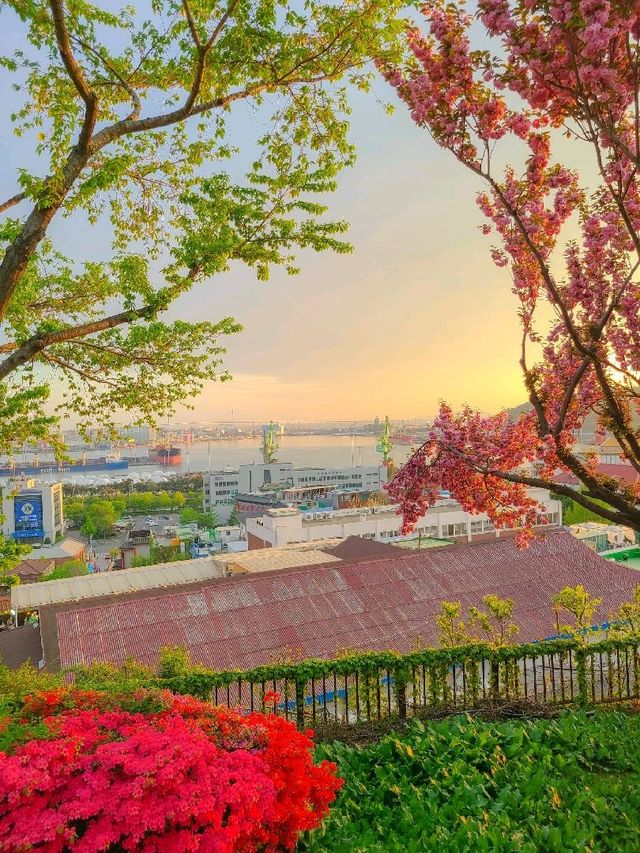 인천 자유공원, 봄 나들이 장소로 추천