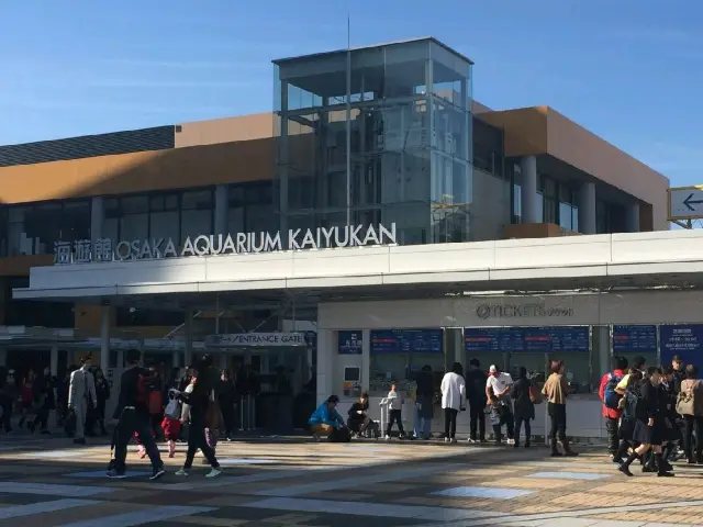 일본 오사카 최대 규모의 가이유칸 아쿠아리움 🐠
