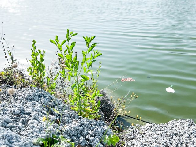 親子最佳活動 釣魚玩樂日