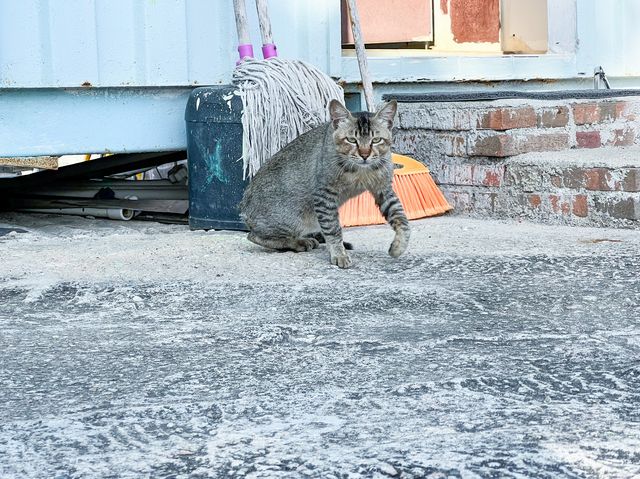 親子最佳活動 釣魚玩樂日