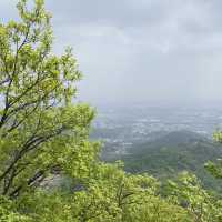 인천 등산) 인천에서 초보자도 입문하기 좋은 계양산에 다녀왔어요 ⛰