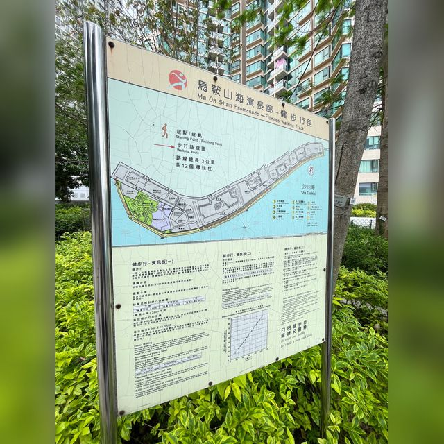 馬鞍山沿岸一帶的好去處