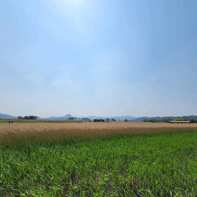 순천여행 순천만자연생태공원 