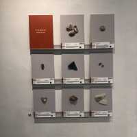 TAL-L: An Archive for Living Materials 展覽