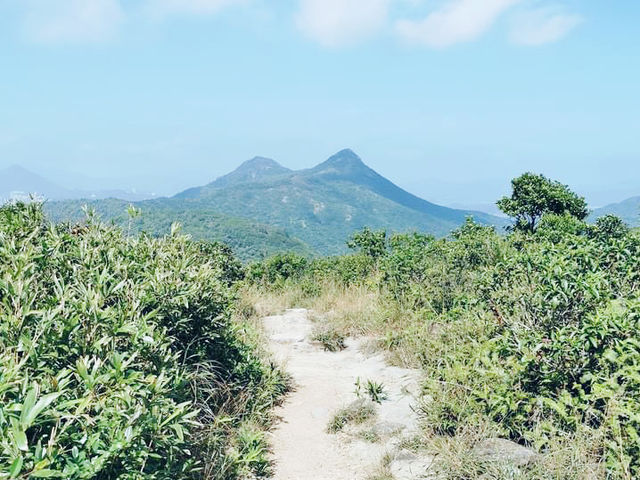 上洋山