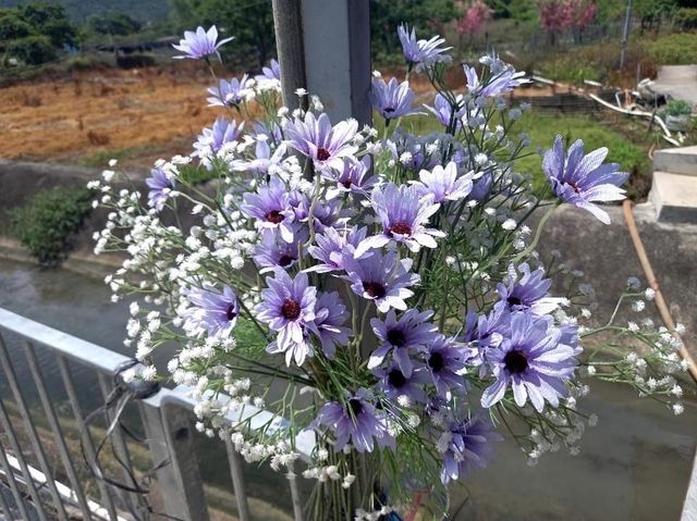新田信芯園農莊