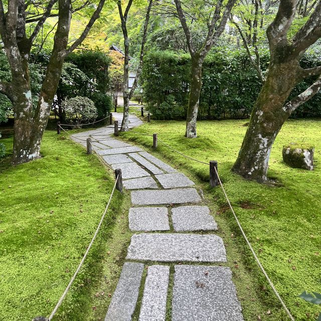 【京都】苔が美しい完全予約制のお寺