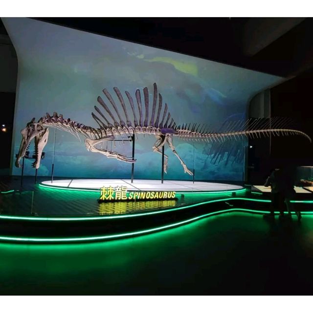 香港恐龍展 香港恐龍展
