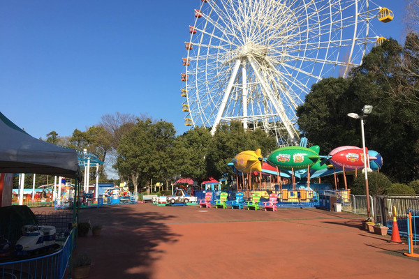遊園地 乗り物 くま？いぬ？ 昭和レトロ