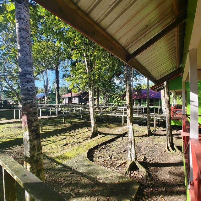 Stay near to forest, Eat near to River