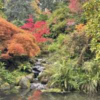 Kubota Garden in Seattle 