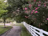 New Albany - Green, Beautiful City 