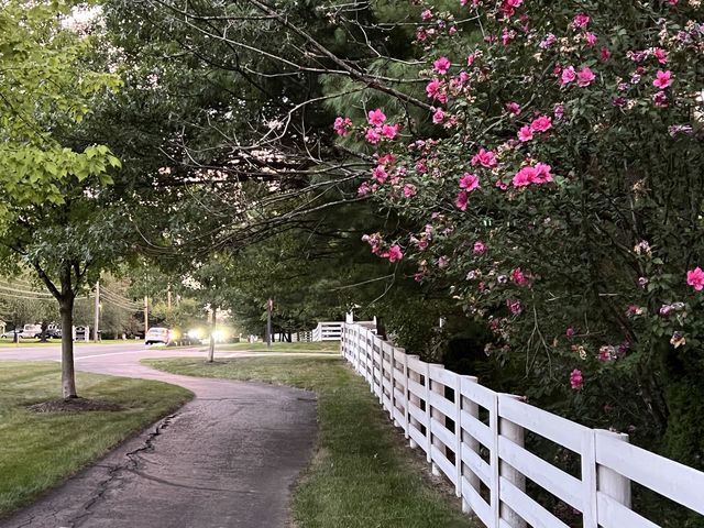 New Albany - Green, Beautiful City 