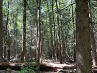 Cuyahoga Valley National Park