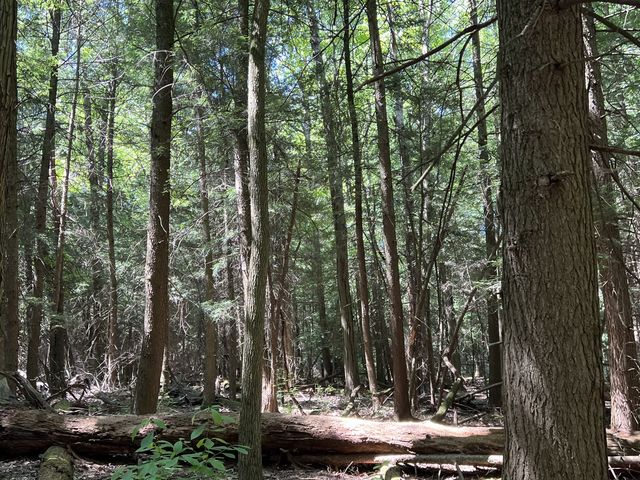 Cuyahoga Valley National Park