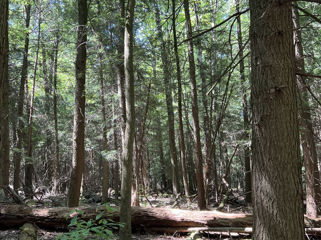 Cuyahoga Valley National Park