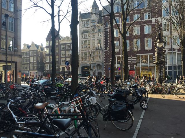 Walking during fall in Amsterdam 