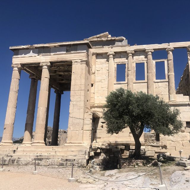 The great Parthenon in the Acropolis 