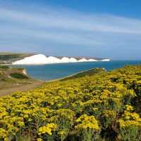 Seven Sisters White Cliff, England 