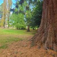 Fall Park
