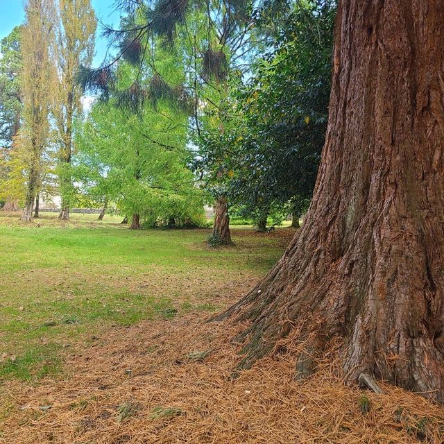 Fall Park