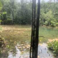 emerald pool