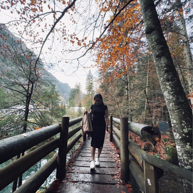 Autumn in Blausee Lake