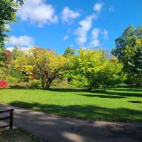 Beautiful Bath Park