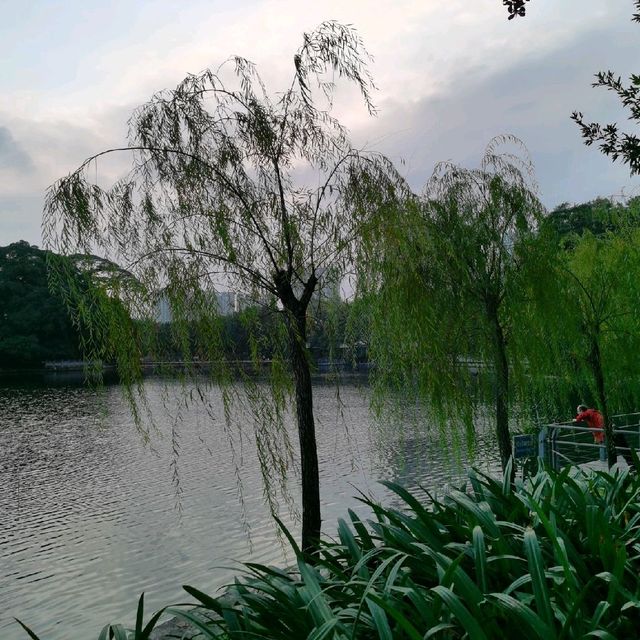 Donghu Park(东湖公园)| Chilled Park