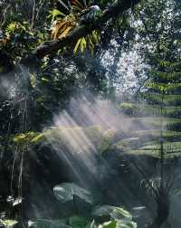 Xiamen | is my "Wizard of Oz" in dreams