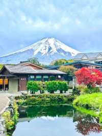 So romantic‼️Departing from Tokyo | One-day tour to enjoy cherry blossoms at Mount Fuji.