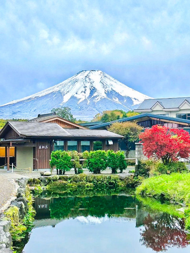 So romantic‼️Departing from Tokyo | One-day tour to enjoy cherry blossoms at Mount Fuji.