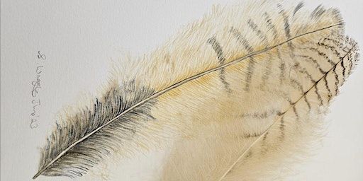 The art of working with precision watercolour with | Davenham Methodist Church Hall, CW9 8JB