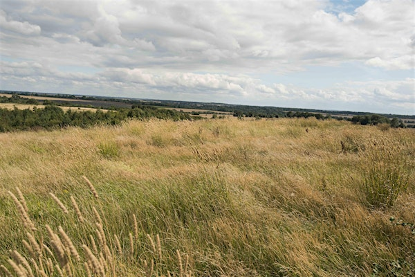 Grasses II - Practicing grass identification with Brian Eversham | Old Sulehay Nature Reserve