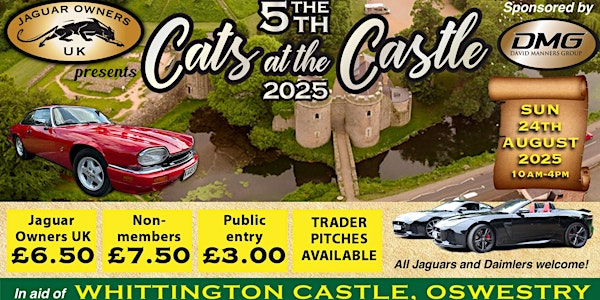 Cats at the Castle 2025 | Whittington Castle