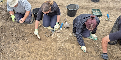 Guided Tour Caistor Roman Town | Caistor Roman Town (Venta Icenorum)