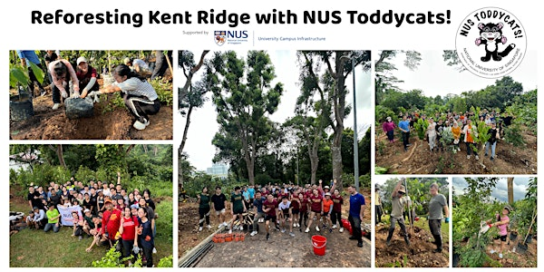 Reforesting Kent Ridge with NUS Toddycats! (16 Aug 2025) | Field behind bus stop 18319 (opposite University Hall)