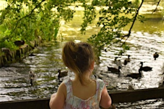 Event series: Nature Nippers | Brodie Castle & Estate