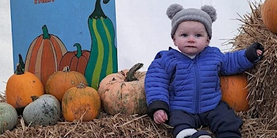 Pumpkin Experience | Craigbank Farm