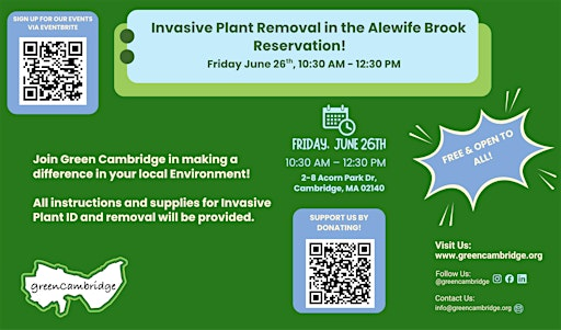 Invasive Plant Removal in the Alewife Brook Reservation | Alewife Reservation DCR Parking