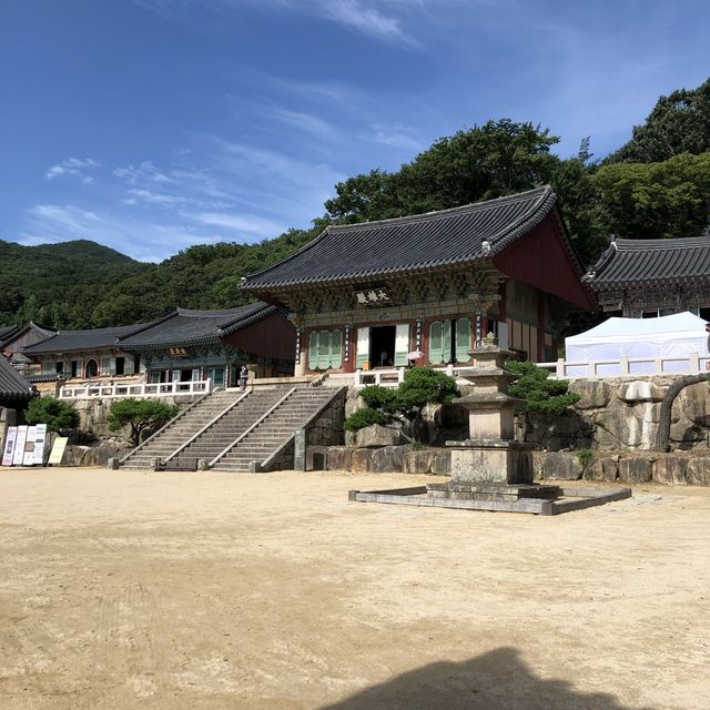 [부산] 녹음 푸르른 범어사