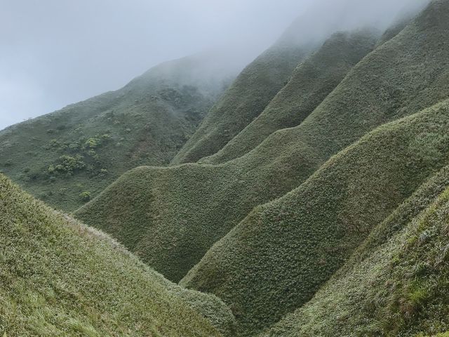 網美朝聖地「抹茶山」聖母山莊步道