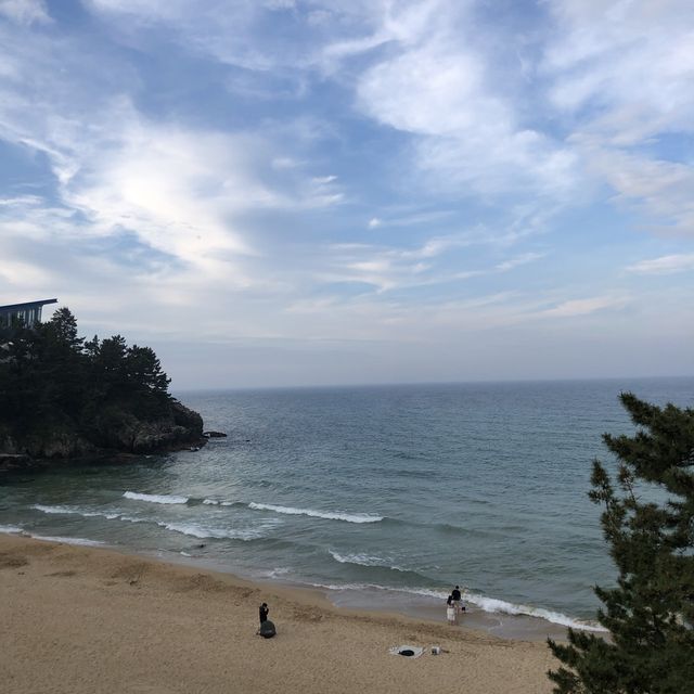 삼척 명소 🌊쏠비치 리조트🌊