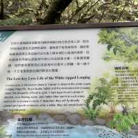 基隆之美-情人湖公園、環湖步道和美麗的吊橋！
