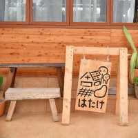 Hatake Cafe & Homestay