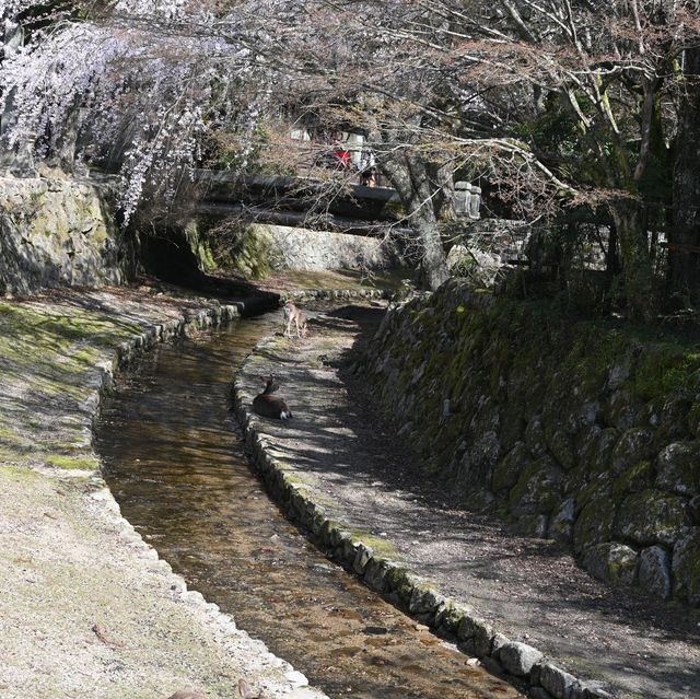 広島その⑤