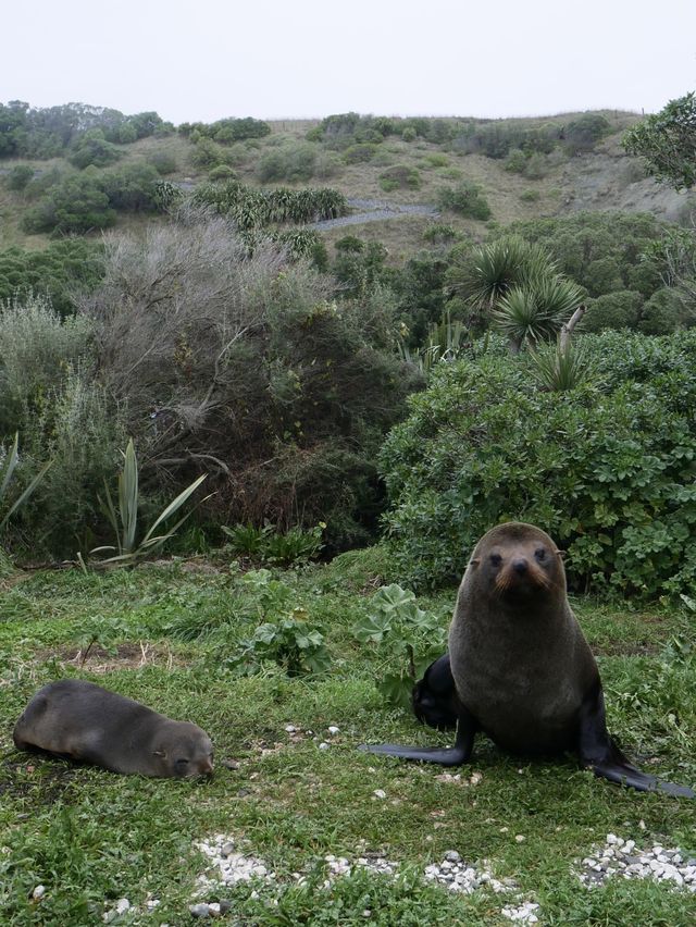 The place to visit for the sea and wildlife 