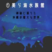 沖縄県のおすすめをご紹介‼️