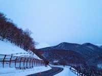 北海道　世界自然遺産　冬の知床プユニ岬で鹿と戯れた❗️