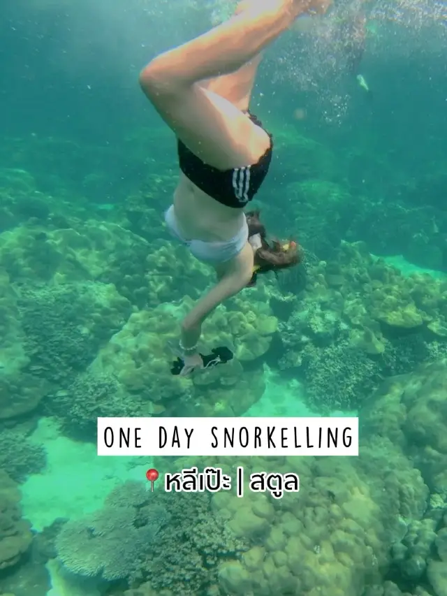 5 Islands Diving Trip | Lipe